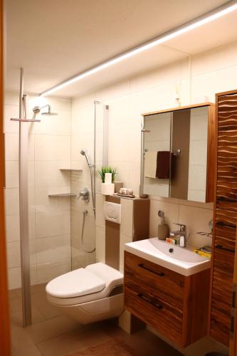 a bathroom with a shower and a toilet and a sink at Ferienwohnung an der Seez in Mels