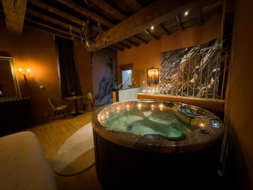 a bathroom with a jacuzzi tub in a room at 'T Rood Kasteel in Hasselt