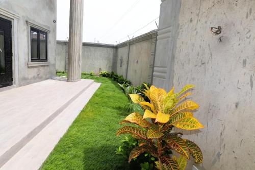 Κήπος έξω από το Beautiful gateway from West Africa!