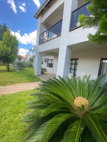 En have udenfor Windhoek Safari Home