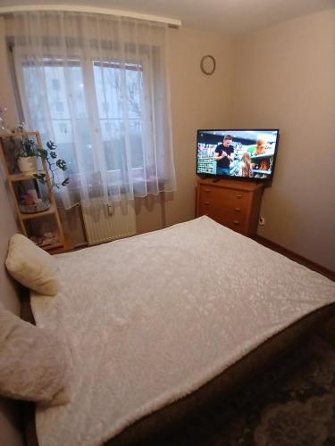 En eller flere senge i et værelse på Mieszkanie Rumiankowa