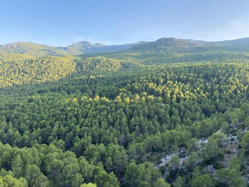 Billede fra billedgalleriet på Casa Paz y Calma i Moratalla