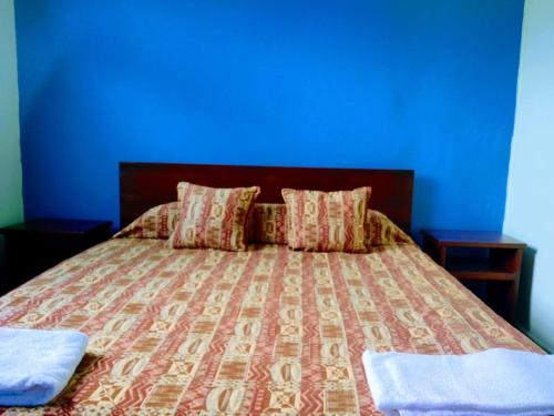 a bedroom with a bed with a blue wall at Casa de Campo San Cayetano de los vientos in Tibasosa