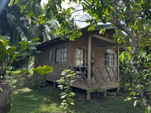 een klein houten huis midden tussen de bomen bij Bobinsana INN in Puerto Limón