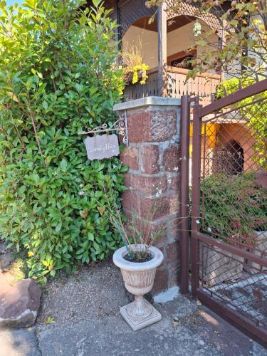 a vase with a plant in it next to a fence at Sirály Ház in Révfülöp