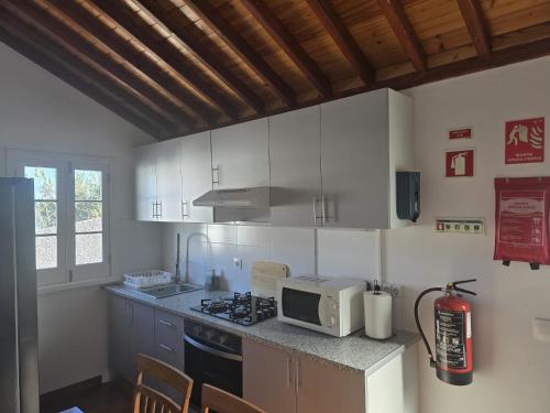 een keuken met een magnetron en een fornuis bovenste oven bij Recanto Vital in Achadinha