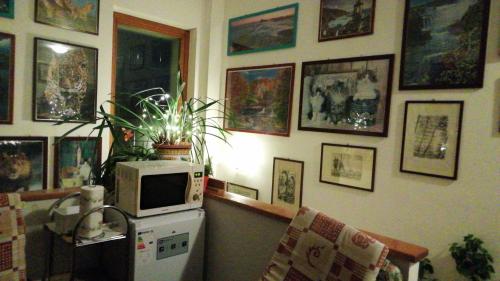 eine Küche mit einer Mikrowelle auf dem Kühlschrank in der Unterkunft Oasi Gioia verde in Vescia