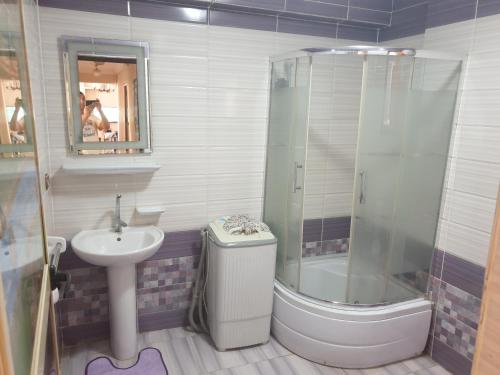 een badkamer met een wastafel en een douche bij Apartment Alexandria City Center in Alexandrië