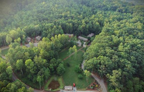 an aerial view of a house in the middle of a forest at The Maple Cottage in Asheville