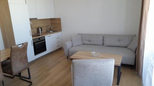 Køkken eller tekøkken på Apartment Hrubosovic Dobra voda