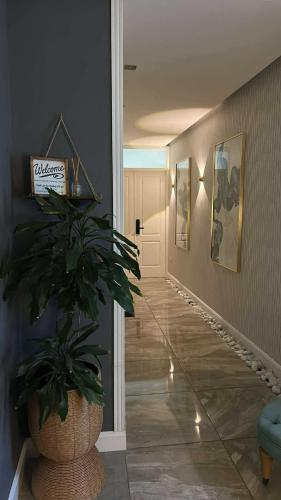 a hallway with a potted plant in a room at Hortensia Room A2 in St. Paul's Bay