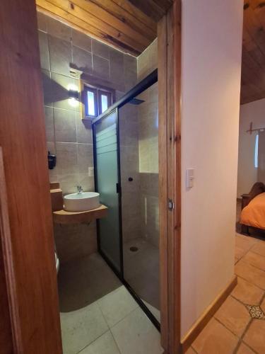 a bathroom with a glass shower and a sink at La Casa Grande in San Cristóbal de Las Casas