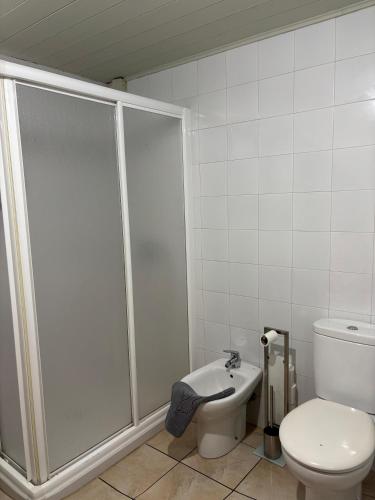 a bathroom with a shower and a toilet and a sink at O lar do Arroio in Allariz