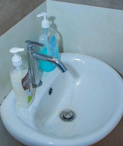 a bathroom sink with a bottle of detergent and soap at Delsystays in Ruaka