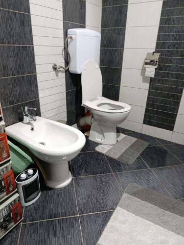 a bathroom with a toilet and a sink at Ambient Light apartment Sarajevo with free parking in Sarajevo