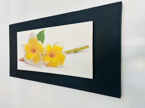 Foto dalla galleria di Pousada Ypês dos Lençóis a Barreirinhas