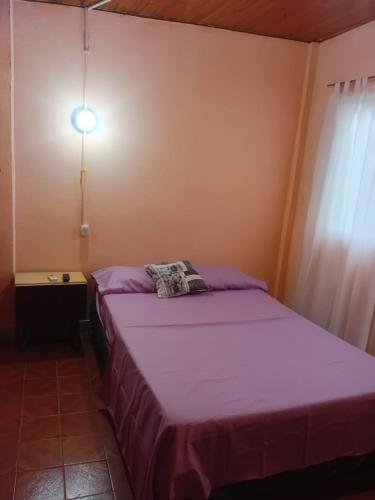 ein Schlafzimmer mit zwei Betten und einer Wandleuchte in der Unterkunft La Esperanza in Puerto Esperanza