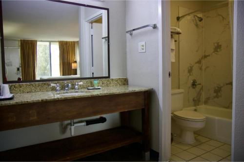 a bathroom with a sink and a toilet and a mirror at Heritage Inn & Suites by Capital O Baton Rouge I 10 in Baton Rouge