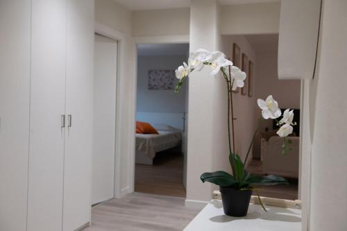 Golden Harmony Apartment in Zurich Oerlikon