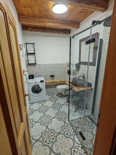 a bathroom with a shower and a sink and a toilet at Hiša Šturm in Tolmin