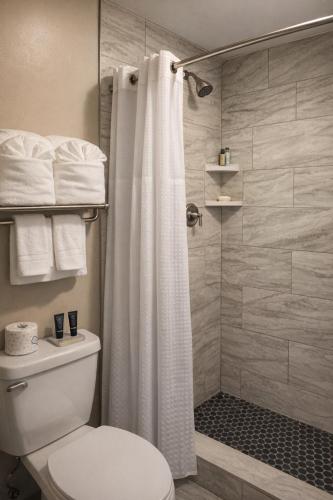 a bathroom with a toilet and a shower at Venice Inn Motel in Venice