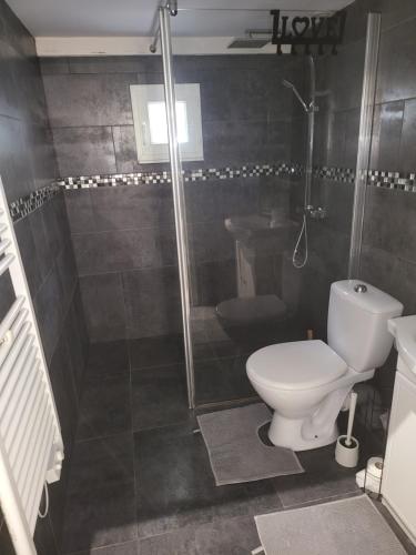 een badkamer met een douche, een toilet en een wastafel bij Loft Appartement Les Angles 30133 Possibilité jacuzzi in Les Angles Gard