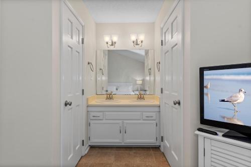 ein Badezimmer mit Fernseher und Waschbecken mit einem Vogel darauf in der Unterkunft Ocean Glen 8 Sea Clearly in Salter Path