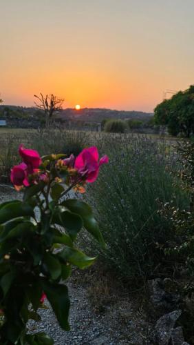 Lamothe-CasselにあるL'écurie du Masのギャラリーの写真