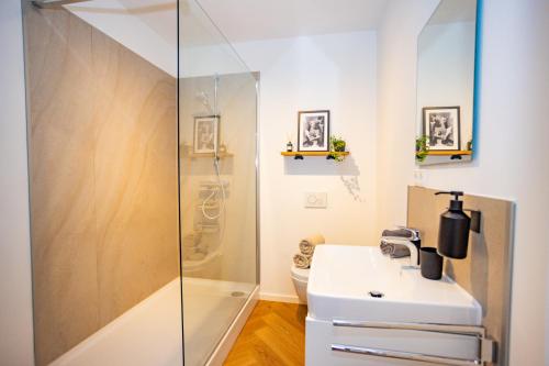 een badkamer met een douche en een wastafel bij Fidelios Altstadt Appartements in Weiden