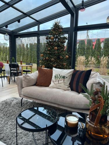 Una sala de estar con un sofá y un árbol de Navidad. en WILLA MAGNOLIA - Apartamenty i Pokoje - ROWERY, POKÓJ ZABAW, KAWA Z EKSPRESU, en Jantar