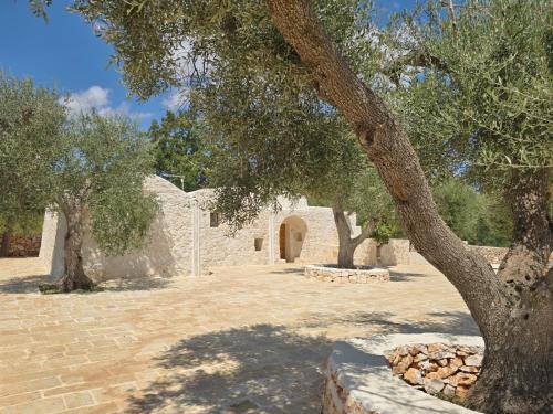 山林小屋周边的地标