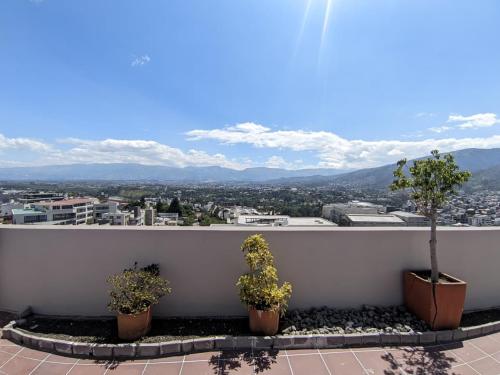 キトにあるSunlight Cumbayaの鉢植え三本の白壁