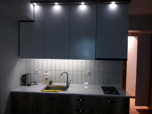 Kuchyň nebo kuchyňský kout v ubytování Rezi's Apartment Vista Gudauri