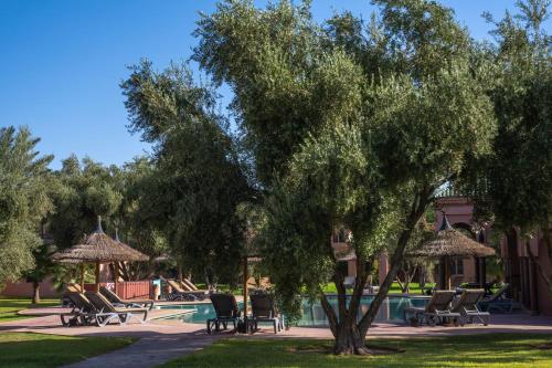 a tree next to a pool with chairs and umbrellas at Maison Ayda in Marrakesh