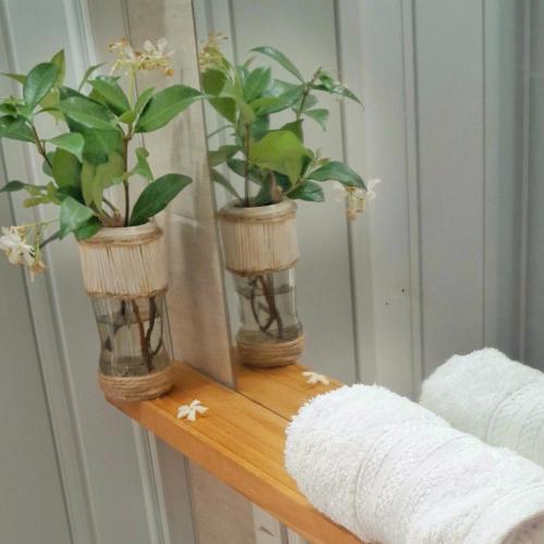 two plants in vases sitting on a mirror at Kalma in Villa Elisa