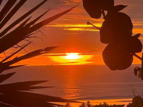 a sunset over the ocean with a pineapple plant at Hamakana gîte vue mer in Grand-Bourg