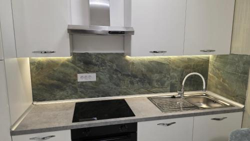 una cucina con un lavello e un piano di lavoro di Green Apartman a Veternik