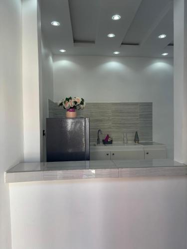 Appartement La Rose