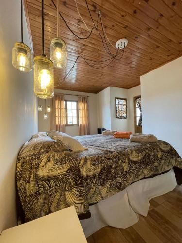 a bedroom with a large bed in a room with wooden ceilings at Rosa Mosqueta Esquel in Esquel
