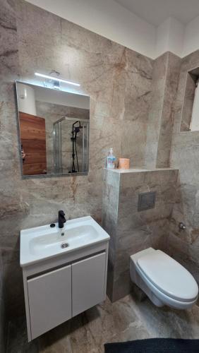 a bathroom with a sink and a toilet and a mirror at Flower Apartman in Veternik