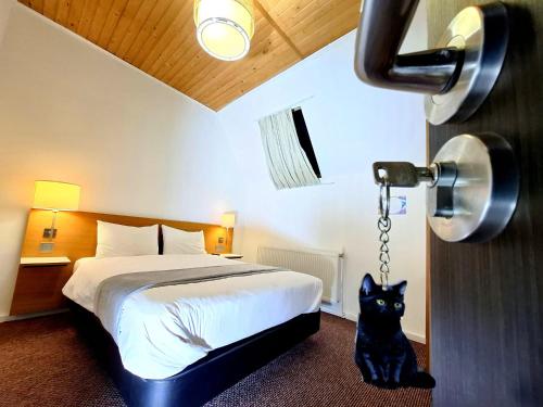 a black cat sitting next to a bed in a room at The Black Cat in Bran
