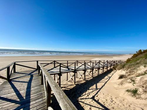 Naturlandskabet i nærheden af lejligheden