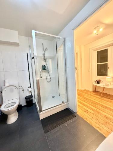a bathroom with a shower and a toilet at European Lodge Rooms Brussels in Brussels