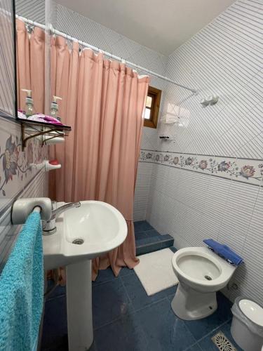 a bathroom with a sink and a toilet at Rosa Mosqueta Esquel in Esquel