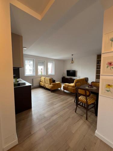 Tinca Apartment