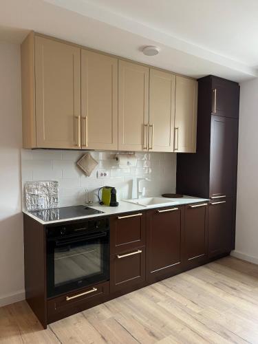 Dapur atau dapur kecil di Tinca Apartment
