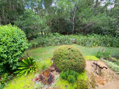 Billede fra billedgalleriet på Banksia Hideaway i Port Macquarie
