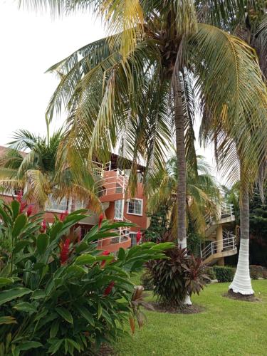 Un resort con palmeras frente a un edificio. en Departamento Morrocoy Ixtapa, en Ixtapa
