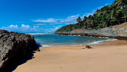 Příroda nedaleko ubytování v soukromí