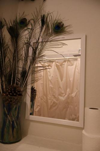 Fotografie z fotogalerie ubytování Atelier Oaxaca v destinaci Oaxaca